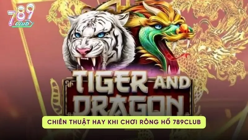rong ho 789club 3 chiến thuật chơi Rồng Hổ 789Club