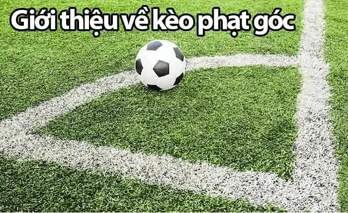 ef9a9fe21d1a10269de8aafeb792b4a4 Tổng quan về kèo phạt góc là gì 789Club
