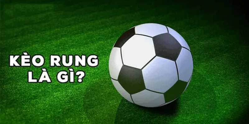 keo rung la gi kinh nghiem bat keo rung lau nam hieu qua 1583 Tổng quan kèo rung là gì?